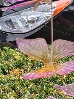 Butterfly solar light up
