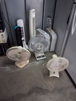 Fans $25 each