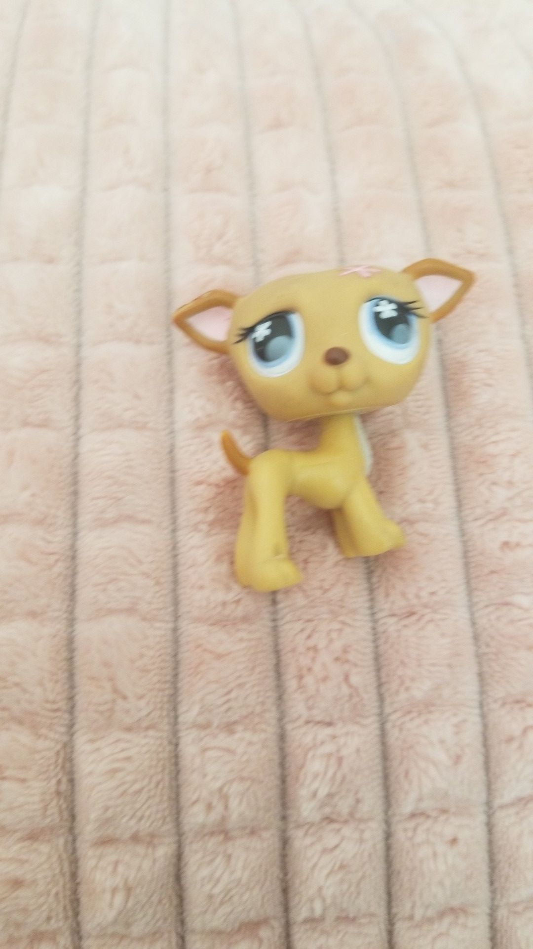 Littlest pet cheap shop greyhound