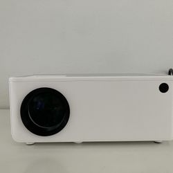 $100 Fangor Projector Screen F 506 Pro