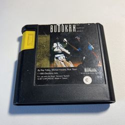 Tested Budokan Sega Master System/Genesis