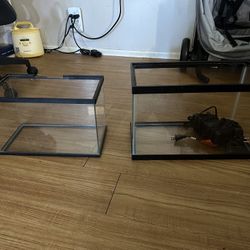 Fish Tanks 