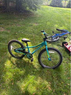 Specialized BMX Bike