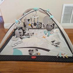 Play Gym For Babies. 