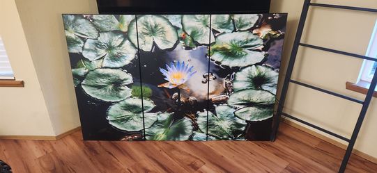 Water Lily Triptych Canvas Wall Art