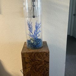 TALL FISH TANK! W/ STAND **NEED GONE**