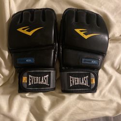 Everlast MMA Gloves 