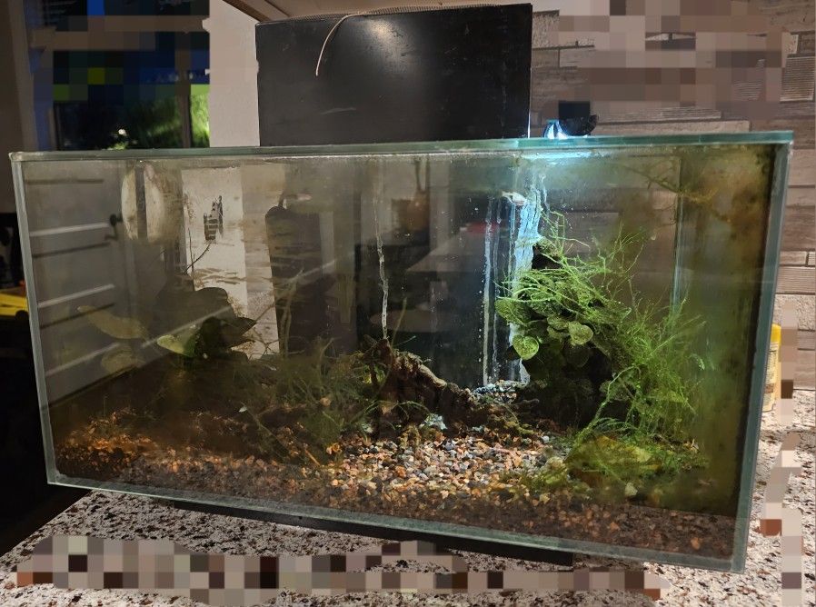 Free Aquarium : Fluval Edge 6.6 Gallon Aquarium.
This aquarium is known for its unique cube shape and top-sided viewing experience,