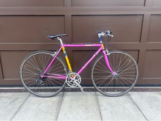PDX Daily Rider: Centurion Ironman Expert (Flat Bar / Gatorskin 700c)  Indestructible City Bike