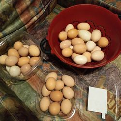 Eggs Frish And Organic 7 For  Duzen  
