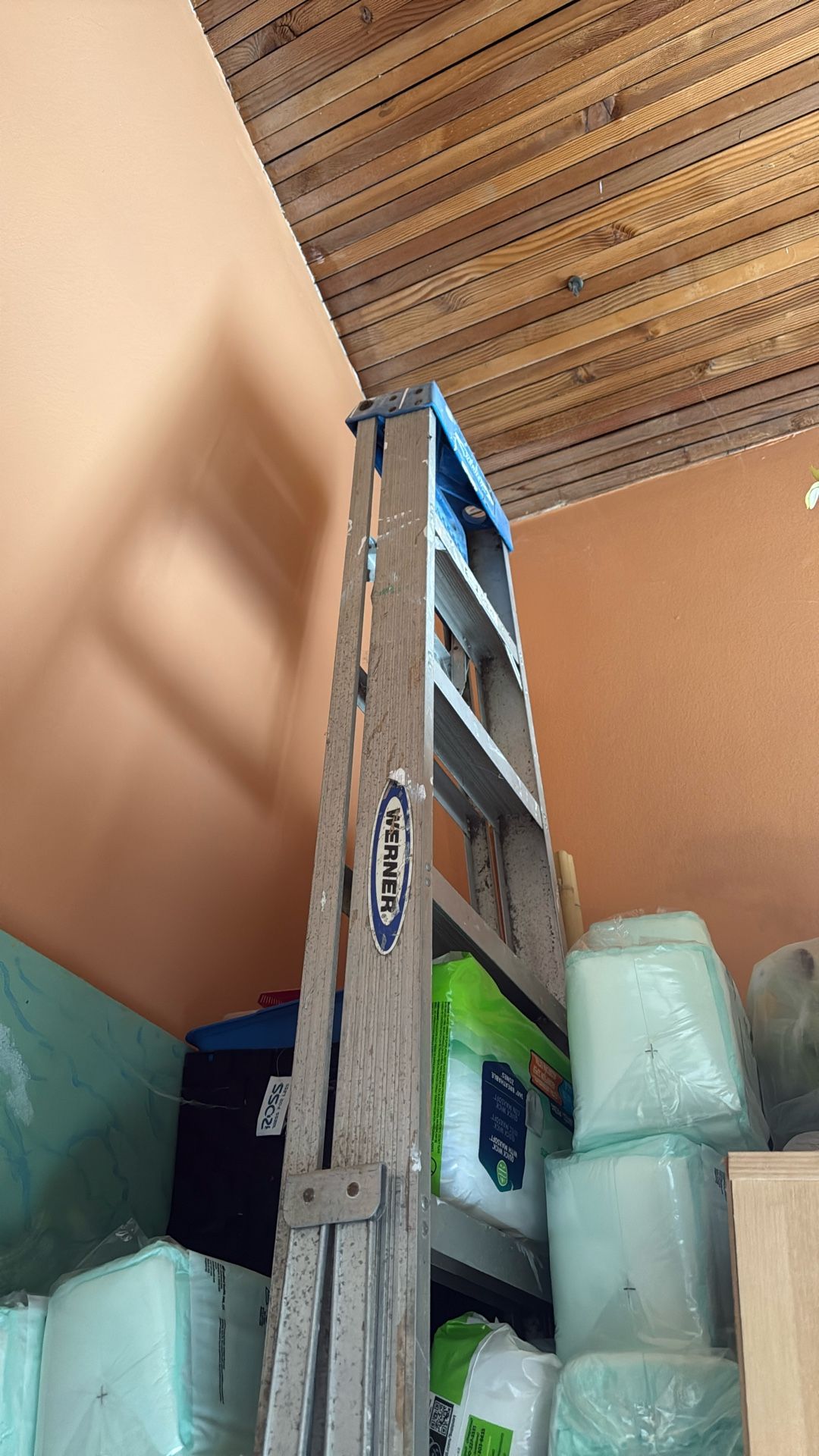 10” Werner Ladder