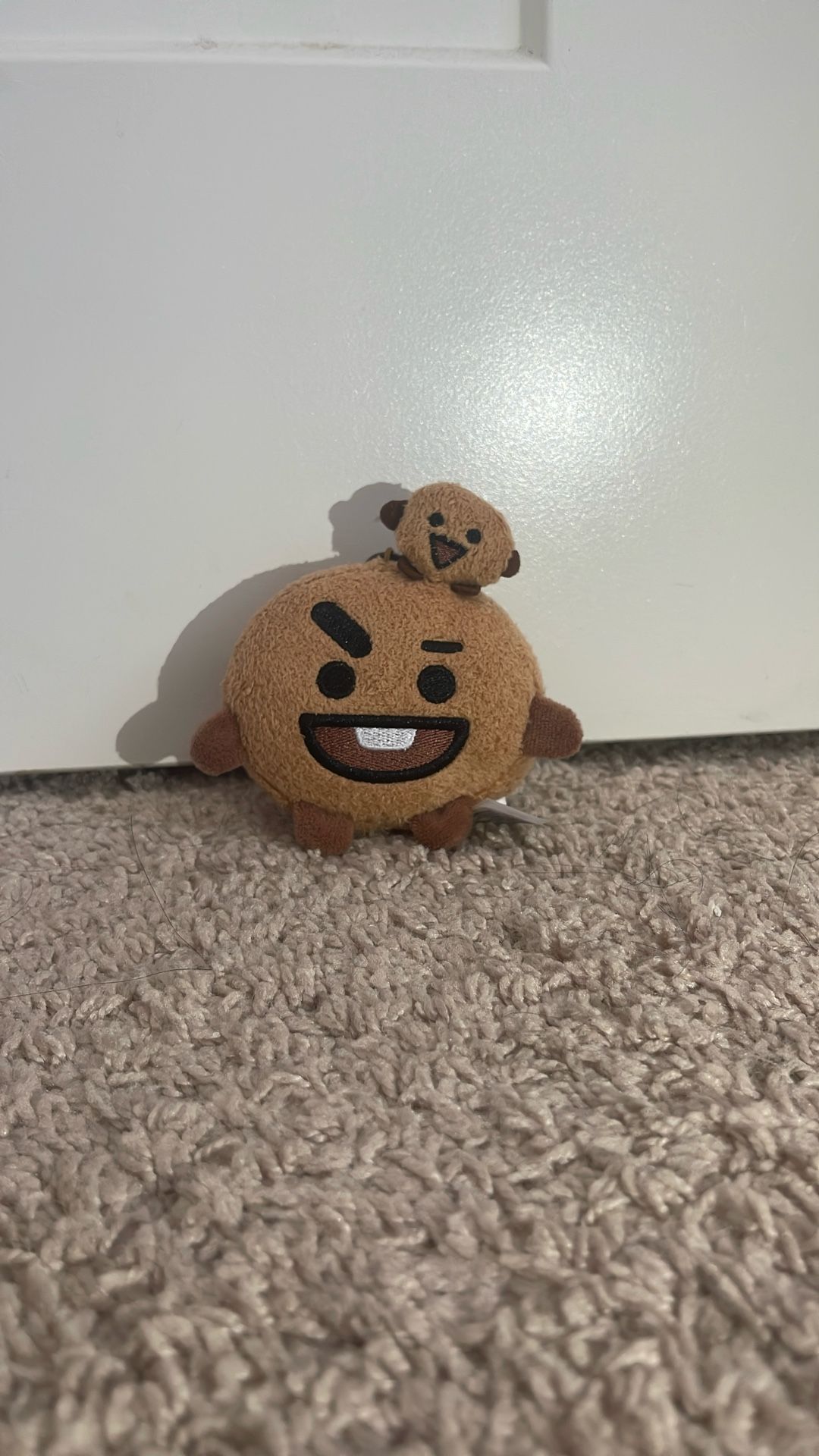 BT21 Plushie Keychain
