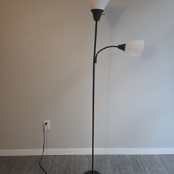 Black Floor Lamp