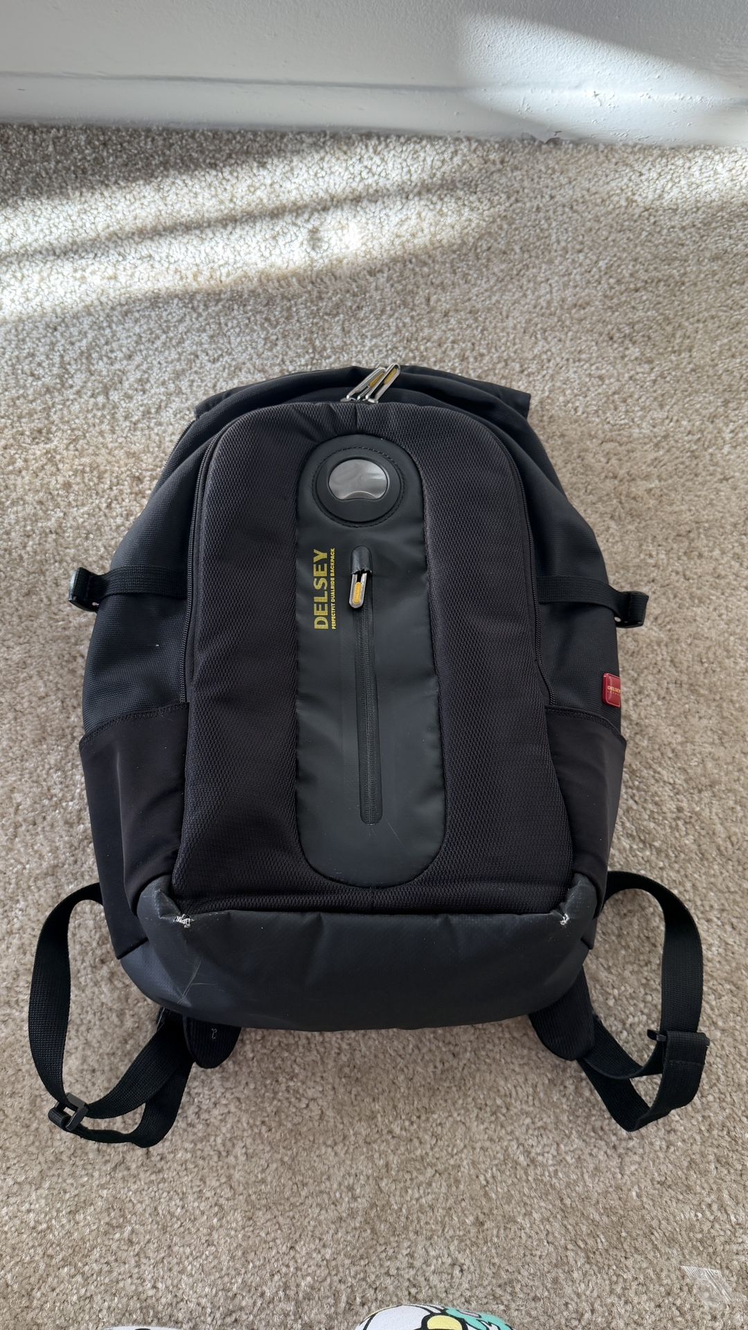 Delsey Work Laptop, School Backpack