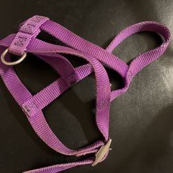 D-2   Harness  Purple Small To Medium Dog  $5