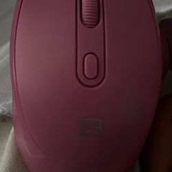 Mice
