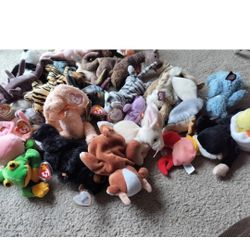 25 Plush TY Beanie Babies $50 Cash