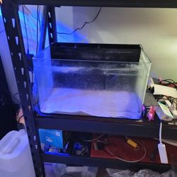 20 Gallon Curved Rimless Fish Tank