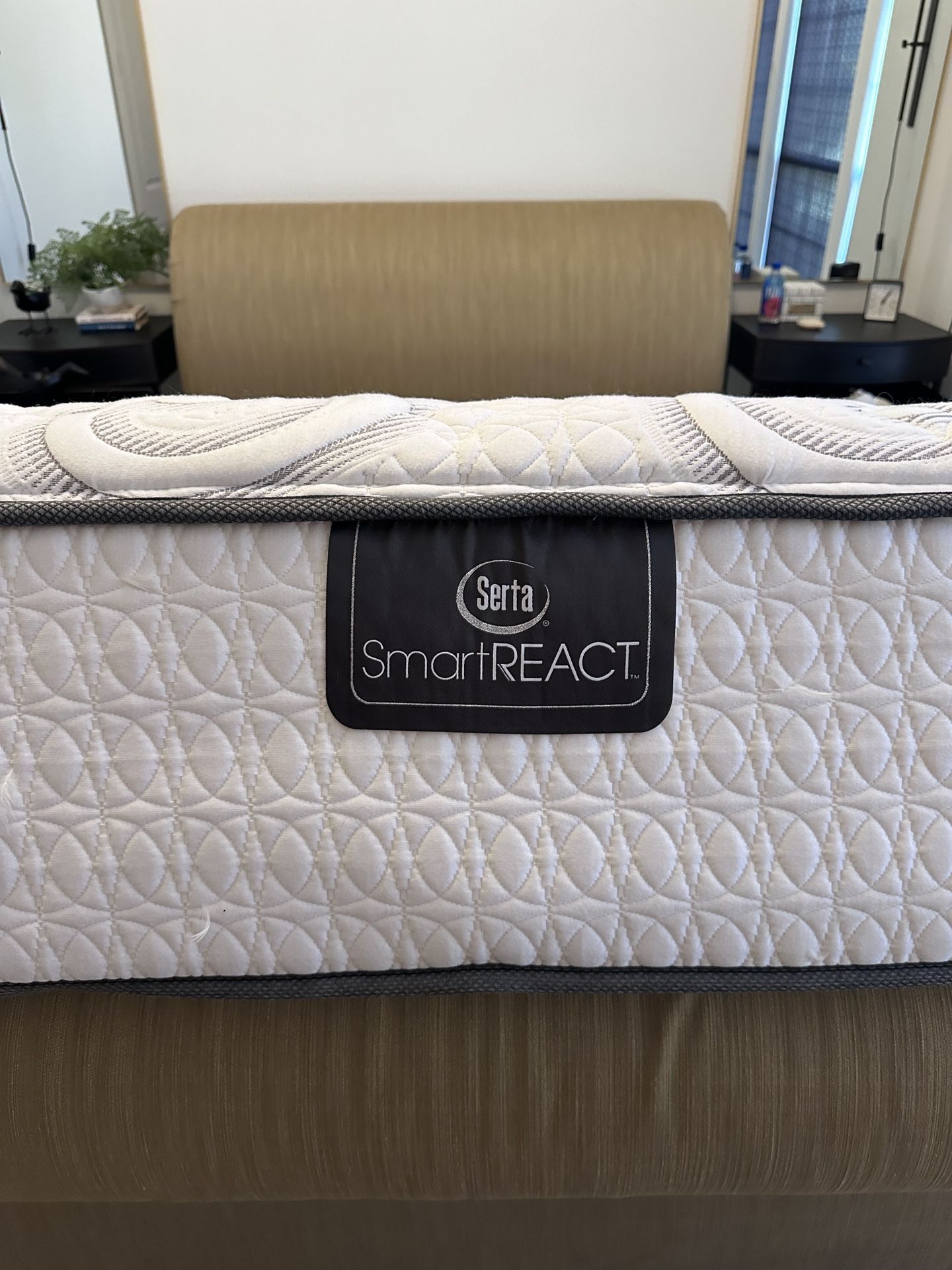 Serta Smart React Lynbrook 14" Plush Mattress and Low Profile Box