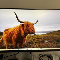 Dell 27 inch 4K Monitor Display IPS P2721Q