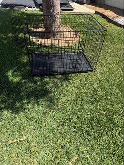 Large EveryYay Ultra Tough 2-Door Folding Dog Crate