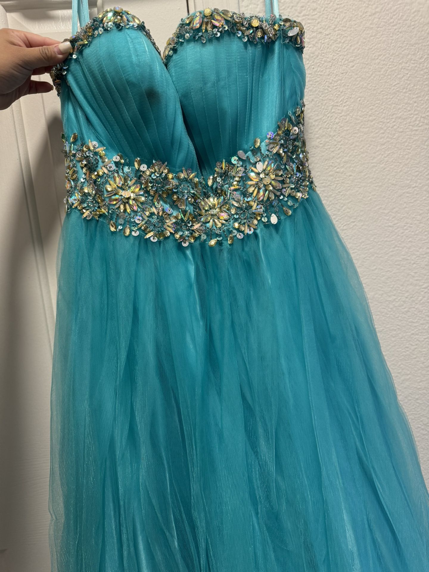 Quince/ Long Puffy Dress