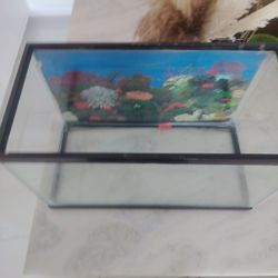 Fish Tank 