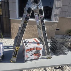 Extendable Folding Ladder