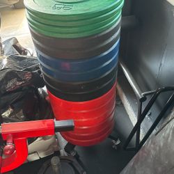 Bumper Plate Set