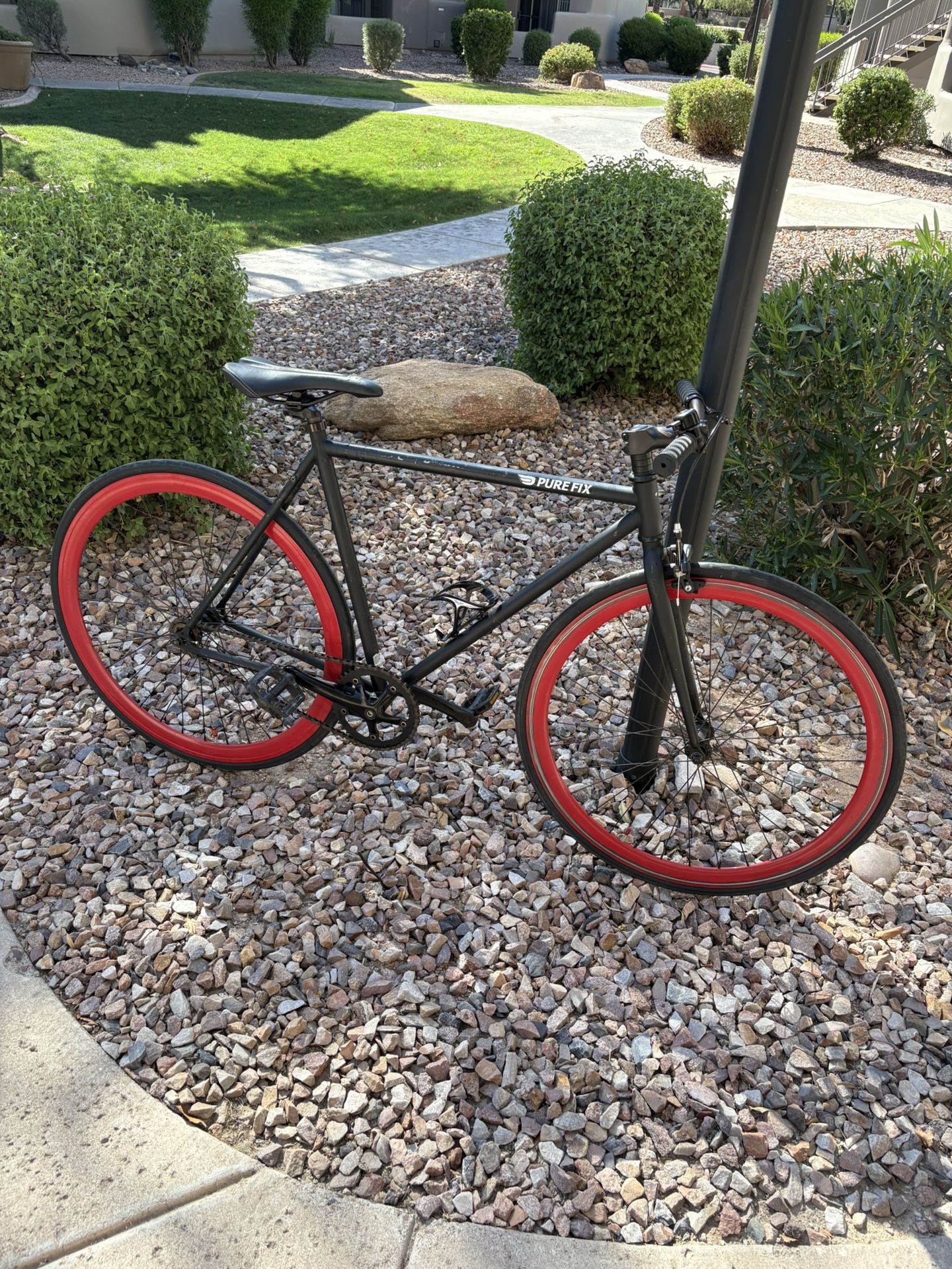 Pure Fix (Pure Cycles) 54CM Fixed Gear/Single Speed Bicycle-Ready to Ride!