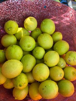 Limón Méxicano