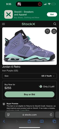 Jordan Retro 6 Iron Purple 