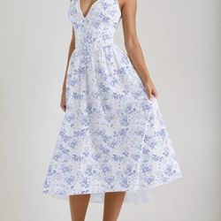 Blue And White Dress 