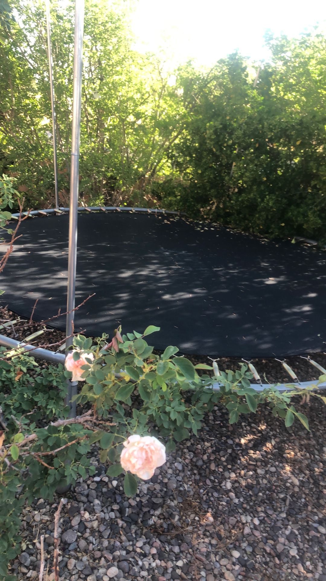 Trampoline 40 Bucks In Belen