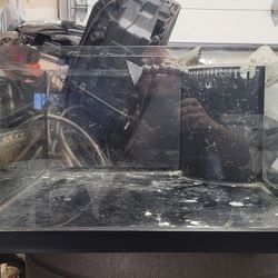 24x24x12 Reef Ready Rimless Aquarium