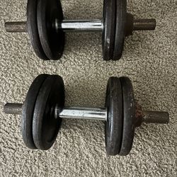 Gym Dumbbells 