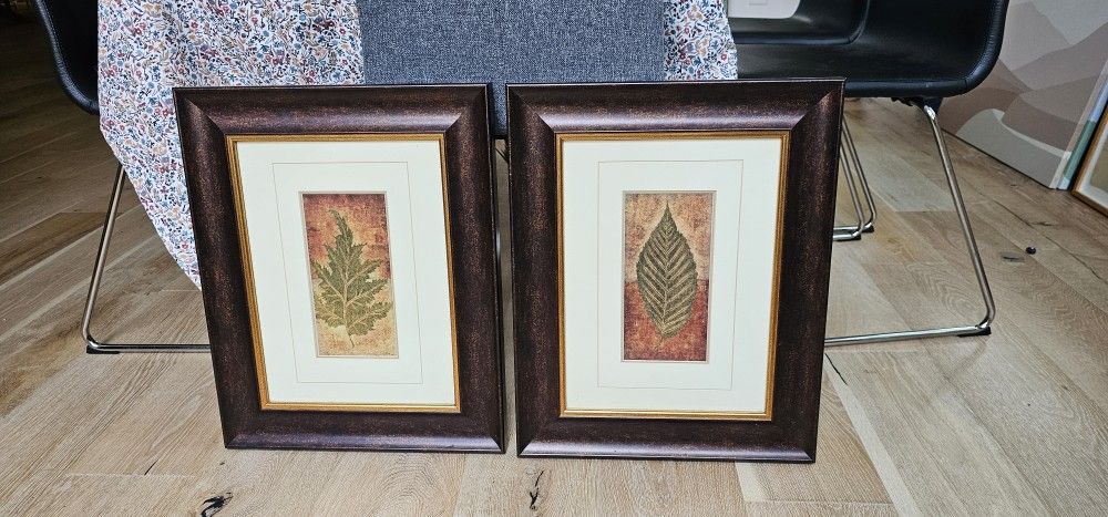 Two Framed Leaf Art Prints (20.5 x 16.5)