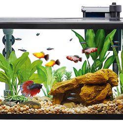 10 Gallon Top Fin® Essentials Aquarium