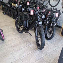 Derwin Pioneer Hybrid E-bike