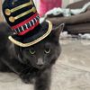 Oscar