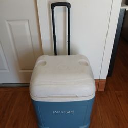 Igloo Cooler 