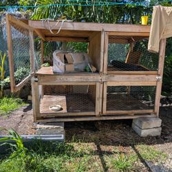 Bunny Hutch 