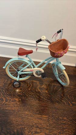 Our Generational Bike