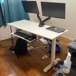 55x24 Inches Electric Adjustable Standing Desk