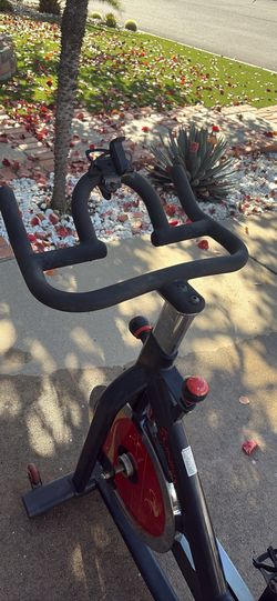 Sunny Spin bike