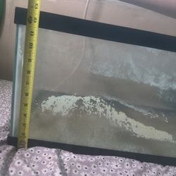 20 Gallon Fish Tank