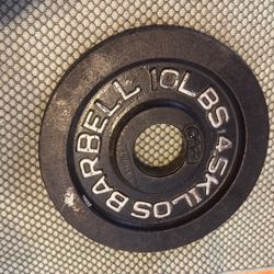 (1) Single 10 lb Olympic Weight Plate Machined (cap Barbell)