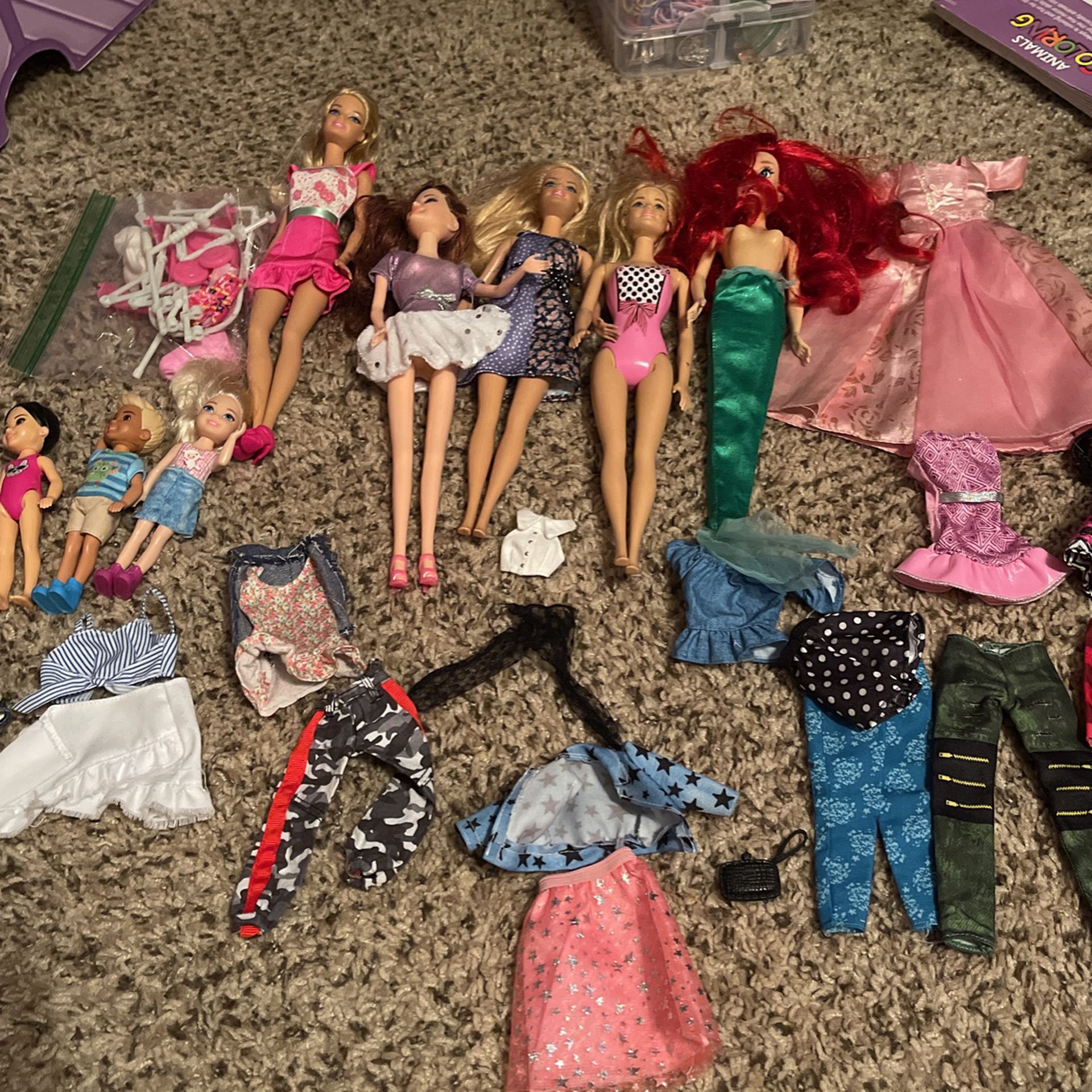 Barbie Dolls And Clothes 