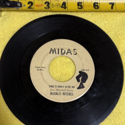 "The Town I Live In" by McKinley Mitchell, 