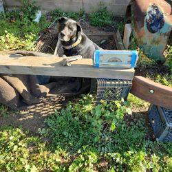 1941 /46 Chevy Truck Gauges, Front Window Glass Crank .
